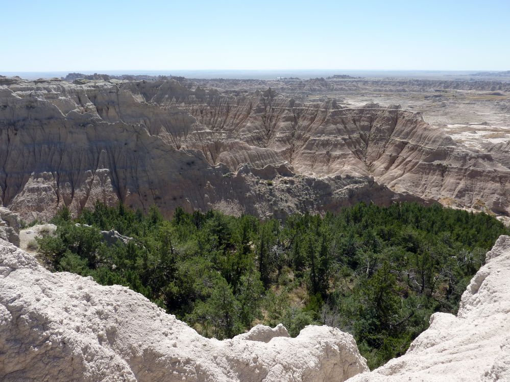 Badlands (90).JPG